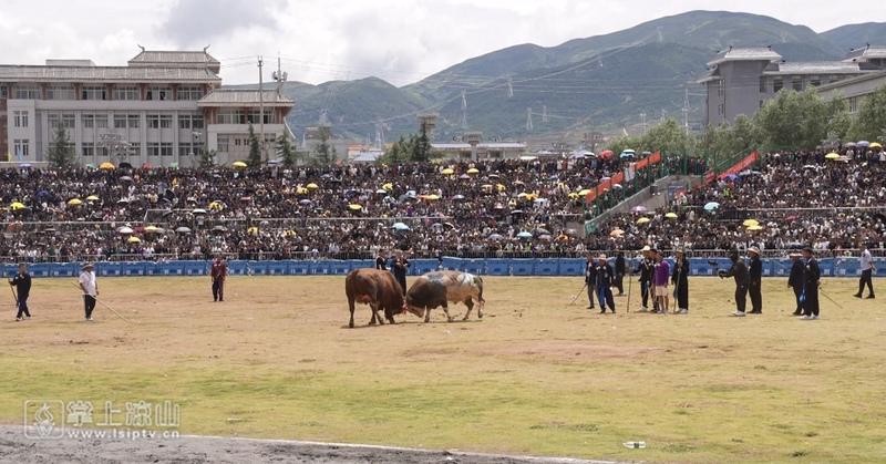 易倍网站：游客50284万人次旅游收入4706亿元！2024年凉山彝族火把节火爆出圈(图4)