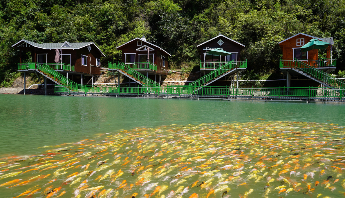 龚正出席第三届上海旅游投资促进大会文旅投资消费“双千亿”项目发布(图1)