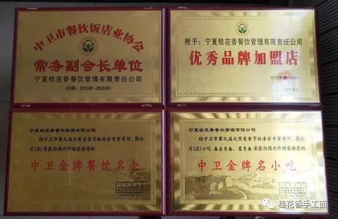 喜报！自治区2024年度乡村文化和旅游带头人人选名单公布沙坡头区4人入选！(图4)