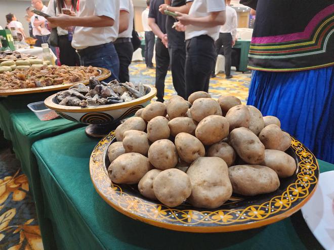 易倍：签约10个项目总金额85亿元凉山金阳县农文旅暨产业投资推介会在成都“收获满满”(图3)