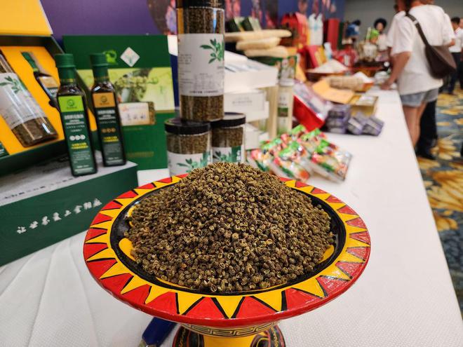 易倍：签约10个项目总金额85亿元凉山金阳县农文旅暨产业投资推介会在成都“收获满满”(图4)