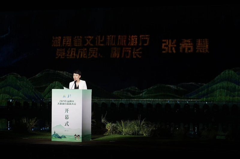 2024年益阳市文旅融合发展大会在桃江开幕(图2)