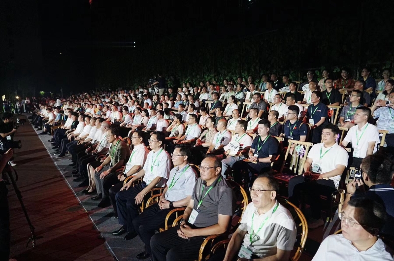 2024年益阳市文旅融合发展大会在桃江开幕(图5)