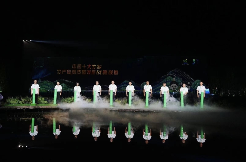 2024年益阳市文旅融合发展大会在桃江开幕(图4)