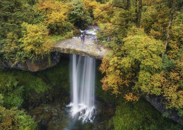 四川诚邀您共赴2024“文旅发展大会”畅游熊猫家园大美雅安(图4)