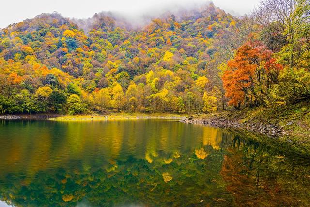 四川诚邀您共赴2024“文旅发展大会”畅游熊猫家园大美雅安(图5)