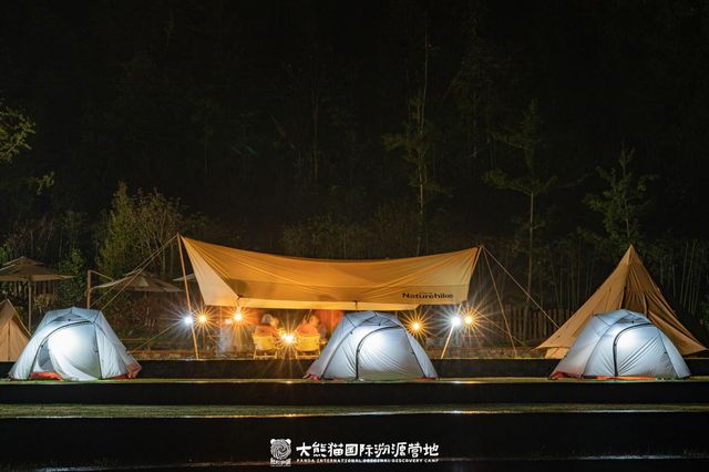 四川诚邀您共赴2024“文旅发展大会”畅游熊猫家园大美雅安(图3)