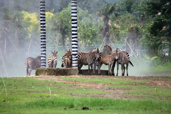 易倍：2024宁波野生动物园门票多少一张附优惠政策及开放时间(图2)