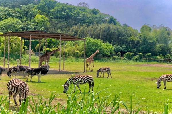 易倍：2024宁波野生动物园门票多少一张附优惠政策及开放时间(图1)