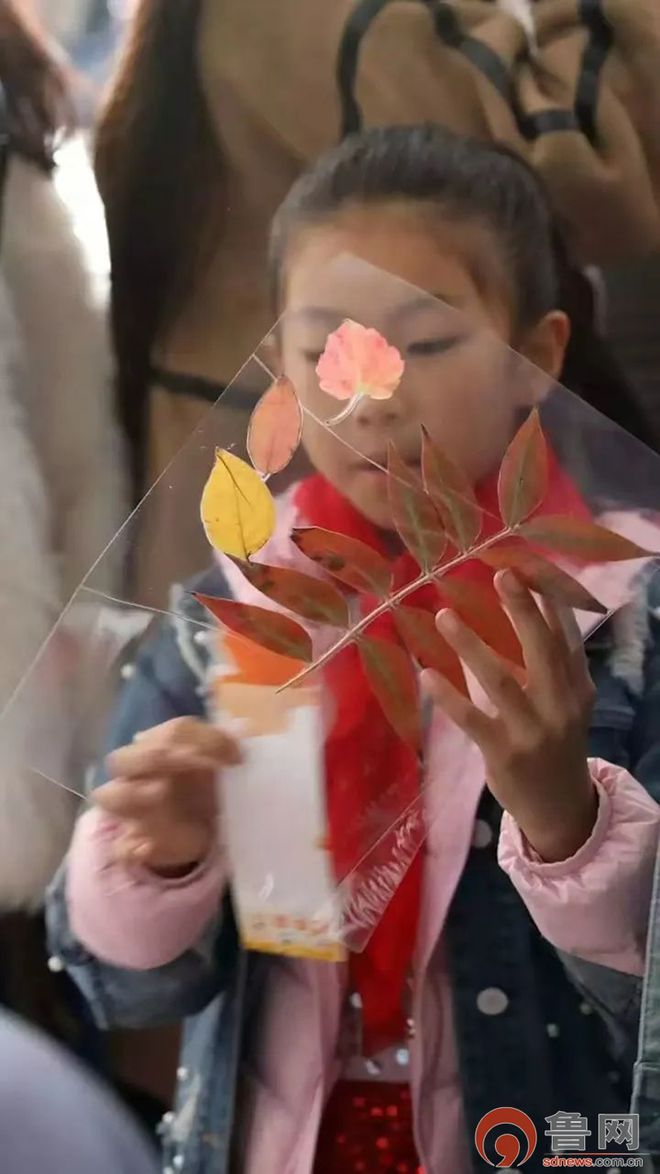 易倍EMC平台：2024第十六届枣庄市抱犊崮“国缘杯”红叶文化旅游节开幕(图2)