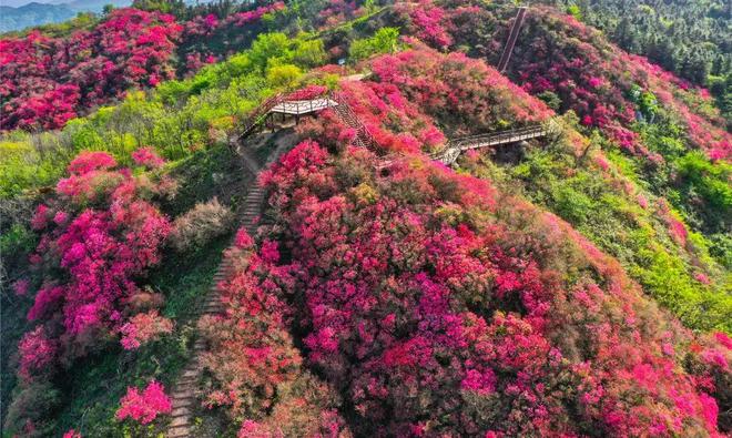 易倍：“山海情谊深‘锦’绣六安好”2024上海·六安文旅对接会成功举行开启两地文旅合作新篇章(图5)