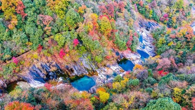 易倍：“山海情谊深‘锦’绣六安好”2024上海·六安文旅对接会成功举行开启两地文旅合作新篇章(图6)