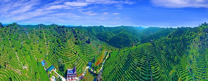 易倍EMC平台：即将开幕！2024年广西文化旅游发展大会亮点抢先看(图2)