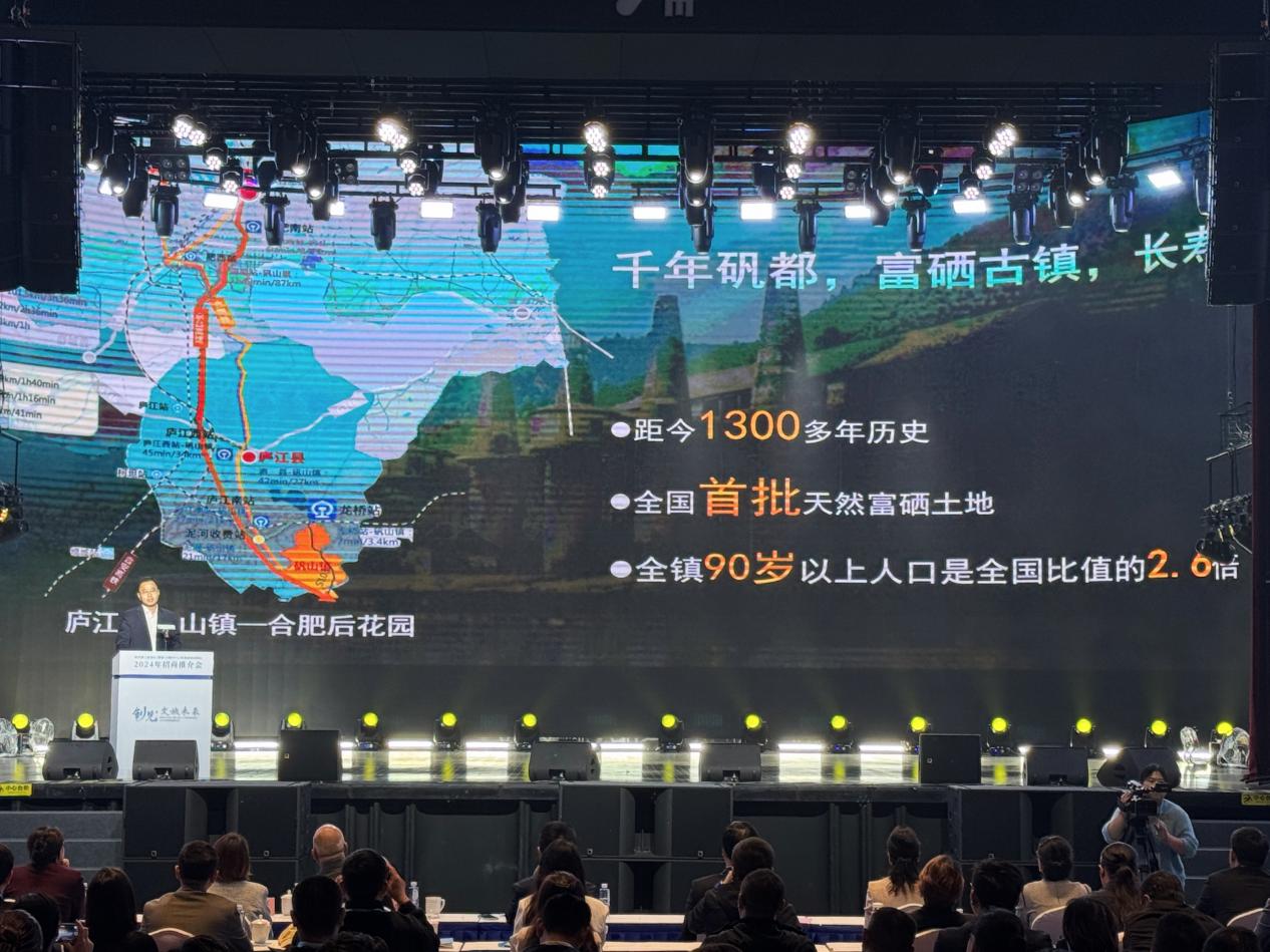 2024“创见·文旅未来”招商推介会在合肥举办(图2)