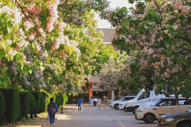 易倍网站：招聘年薪约为7—17万元五险一金！丽江文化旅游学院（原云南大学旅游文化学院）2024年招聘公告(图6)