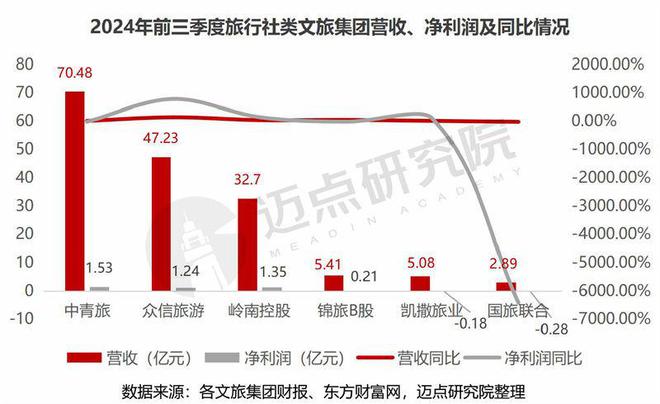 2024年三季度文旅集团财务分析报告(图5)
