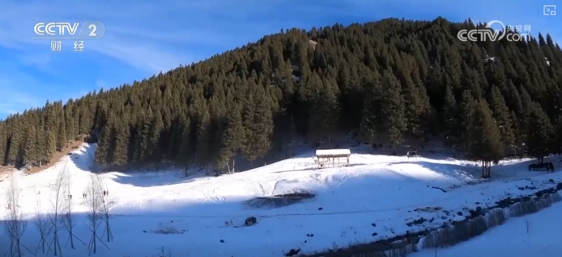 易倍：“滑雪+旅游”“滑雪+赛事”美食”……“冷冰雪”助燃“热经济”(图16)