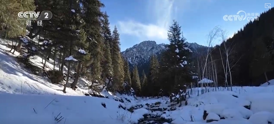 易倍：“滑雪+旅游”“滑雪+赛事”美食”……“冷冰雪”助燃“热经济”(图17)