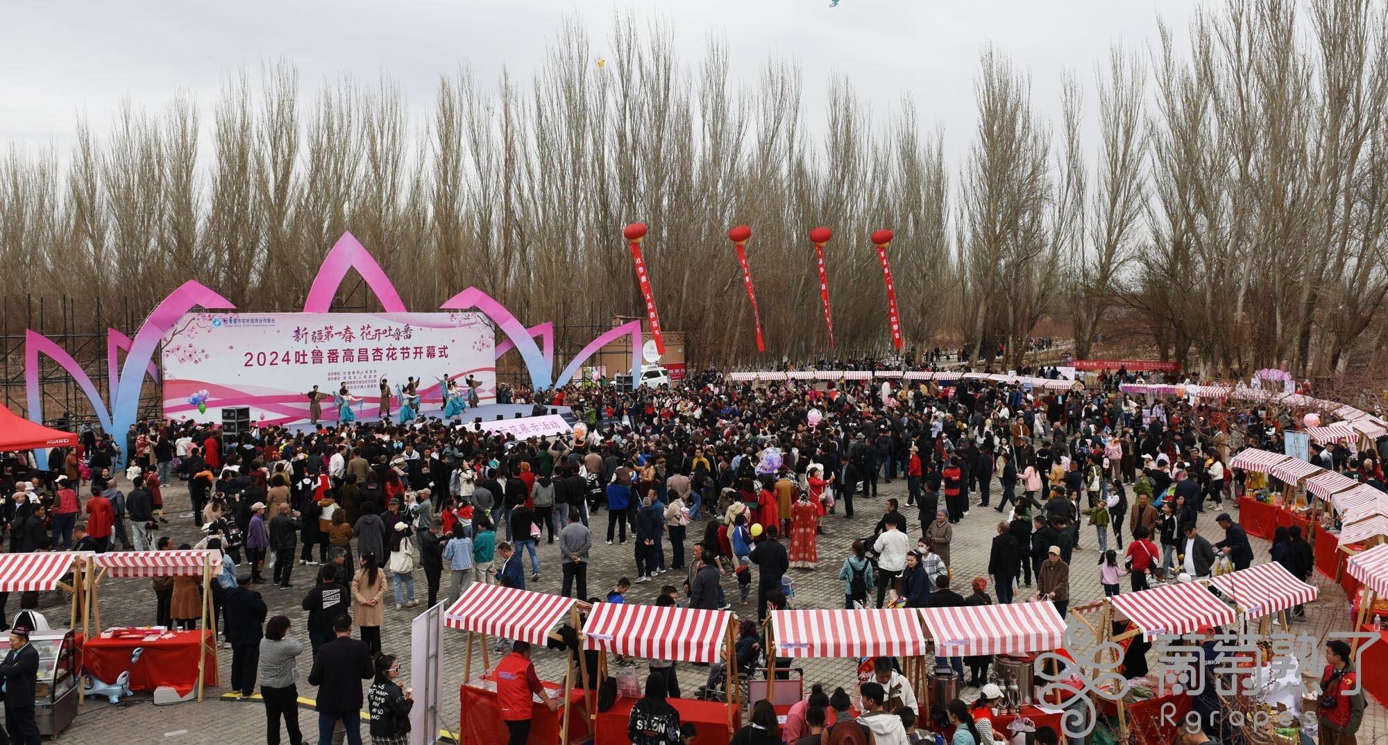 聚焦文旅兴市重彩描绘“诗与远方”——吐鲁番“奋进2024”年终特别报道之三(图1)