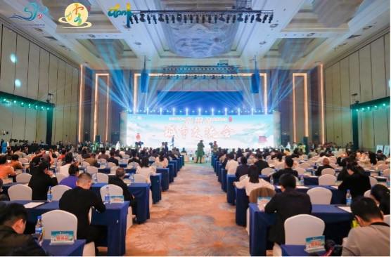 2024年第二届中国（海南）东坡文化旅游大会在儋州圆满举办(图1)