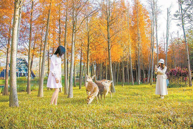 文旅热燃动2024九大“标签热词”回顾全年(图1)