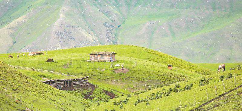 文旅热燃动2024九大“标签热词”回顾全年(图8)