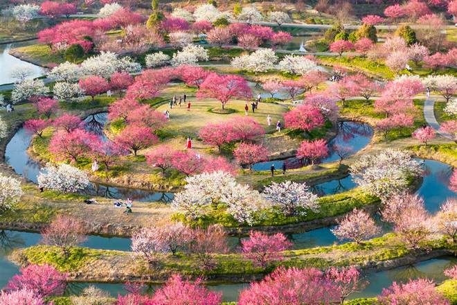 易倍：“嗅觉名片”打开农文旅融合新场景 沪郊朱泾打造“芳香小镇”20版(图4)