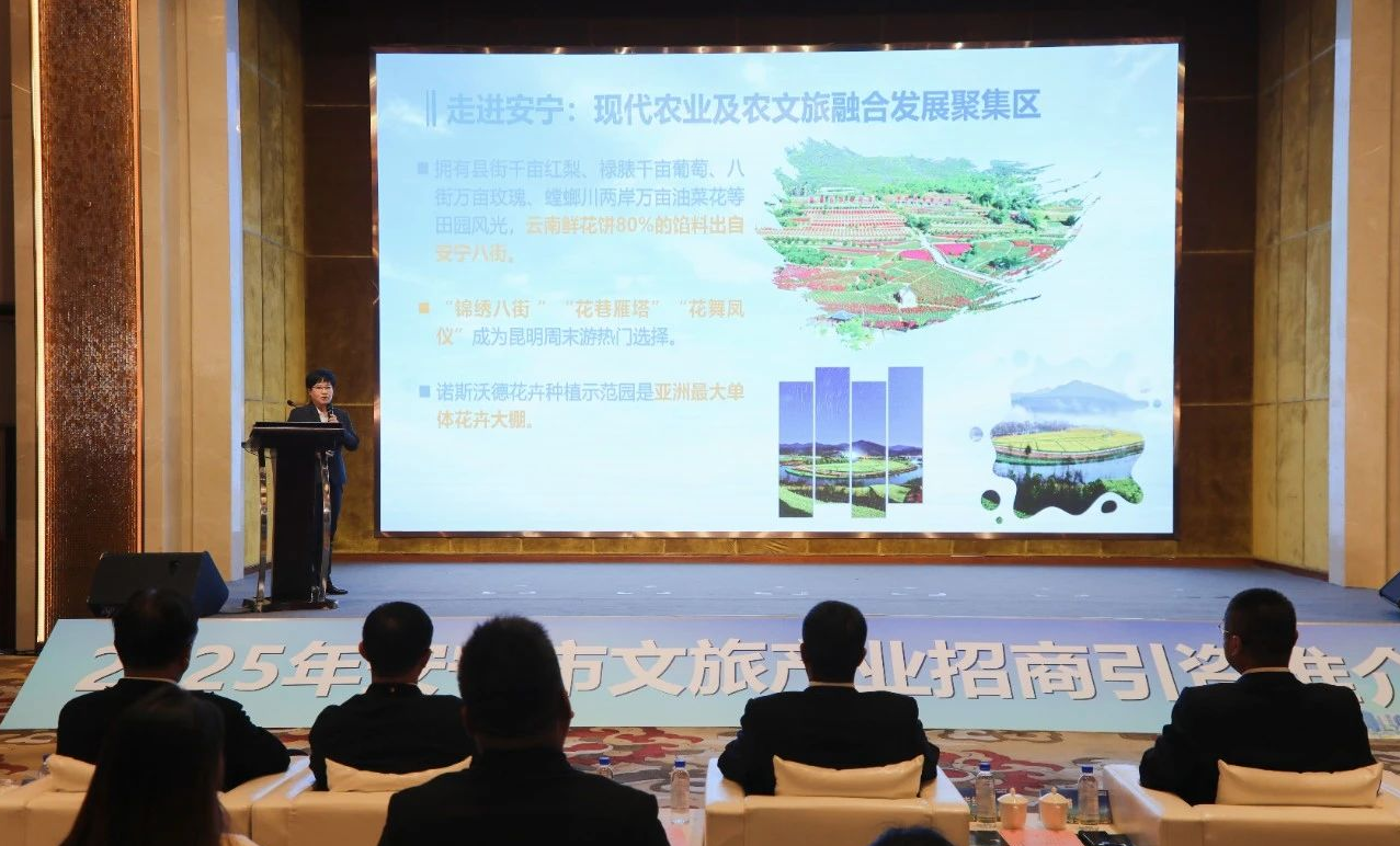 易倍：新年首日昆明安宁签约14个文旅项目计划总投资超39亿元(图3)