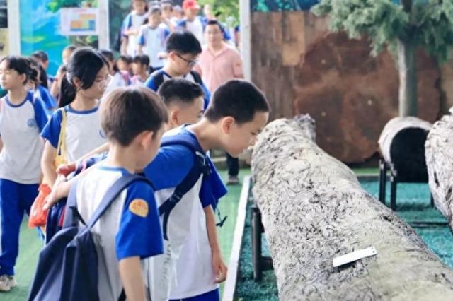 青山之变彰显文旅“蝶变”——从三个维度看东莞观音山的2024(图1)