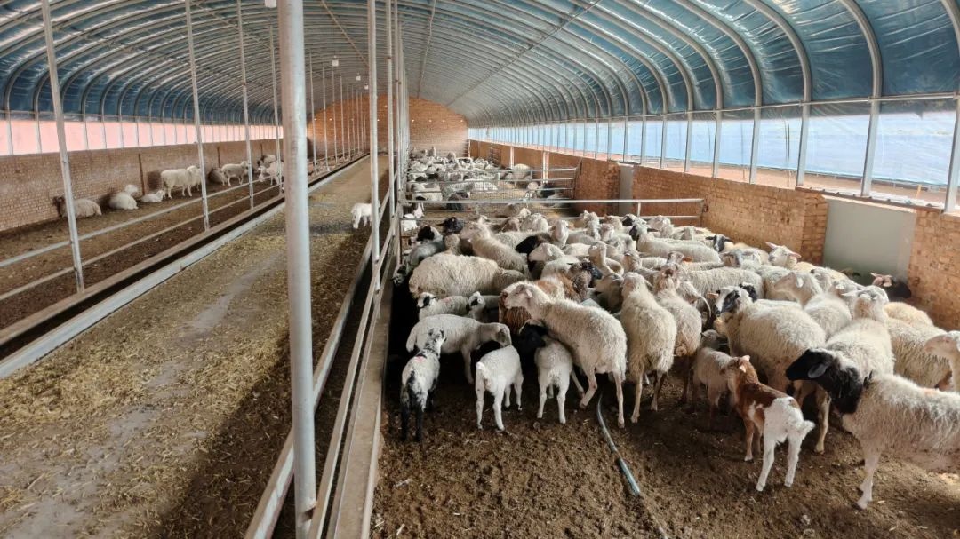 山西寿阳孟家沟村生态养殖与文旅融合盘活集体经济促进农民增收(图3)