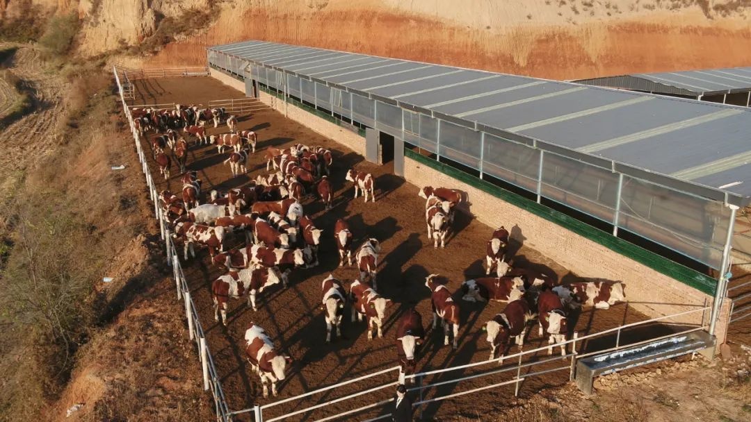 山西寿阳孟家沟村生态养殖与文旅融合盘活集体经济促进农民增收(图2)