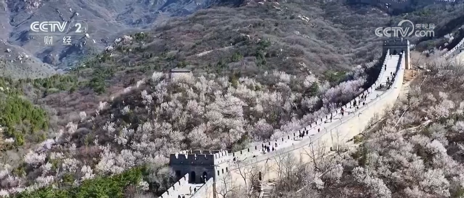 一季度“入境游”“跨境游”成绩亮眼免签政策红利充分释放(图2)