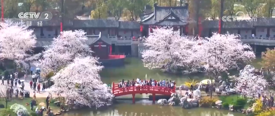 一季度“入境游”“跨境游”成绩亮眼免签政策红利充分释放(图3)