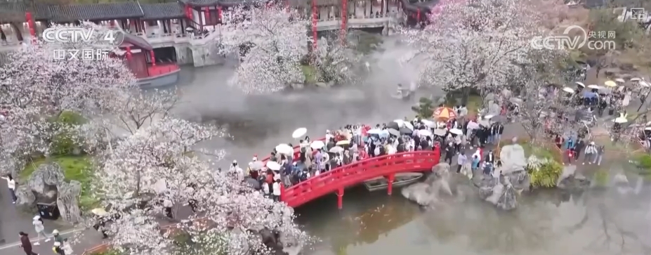 “数字+文化+影视+生态”多核驱动赋能入境游中高端市场释放多元潜力(图1)