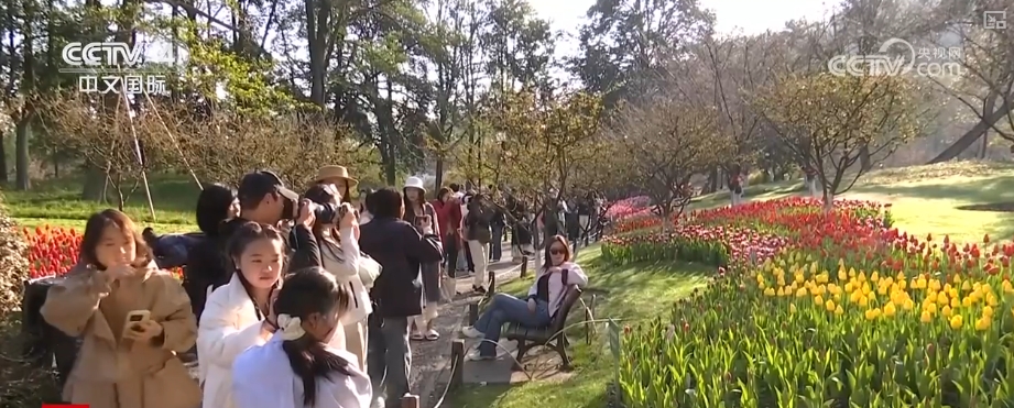 “数字+文化+影视+生态”多核驱动赋能入境游中高端市场释放多元潜力(图8)