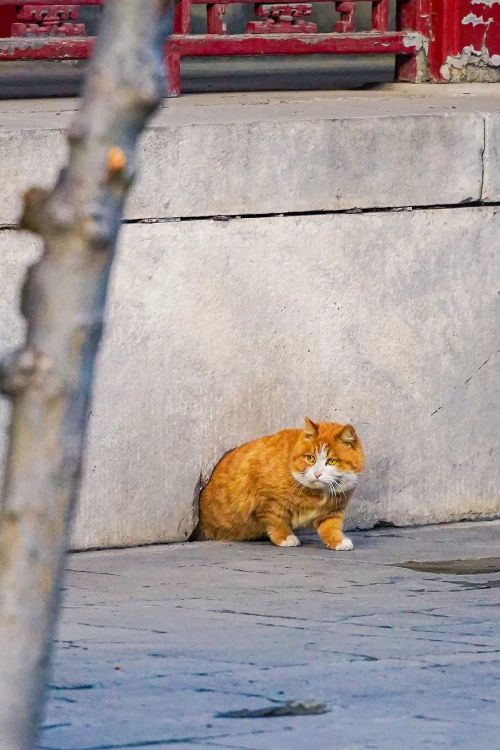 流量狂欢后文旅产业下半场何去何从？(图31)