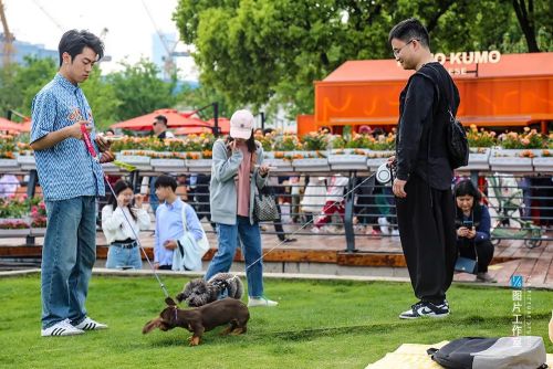 流量狂欢后文旅产业下半场何去何从？(图29)