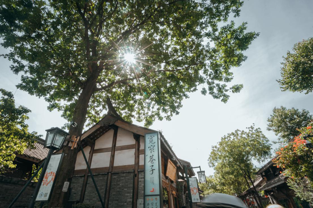 易倍网站：文化中国行丨巴蜀文化旅游走廊：从“川渝样板”到“世界舞台”(图5)