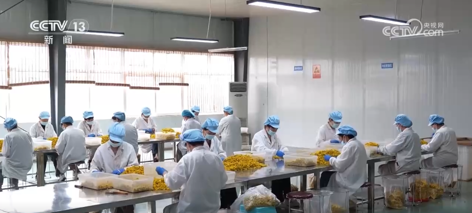 传统景区不断“破圈”“出圈”“文旅+创新”激发经济澎湃活力(图8)
