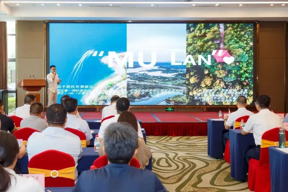 放大招！9个农文旅项目集中签约黄陂(图1)