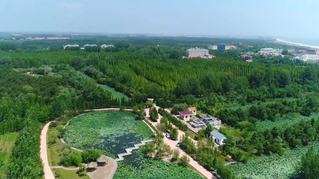 易倍：盘点暑期文旅打开方式：多元业态激活消费新动能(图5)