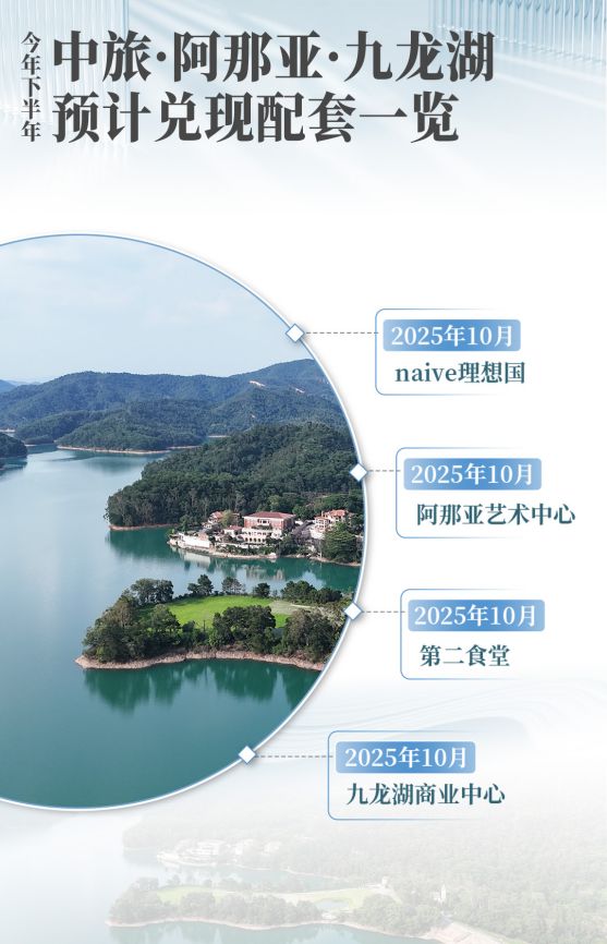 稳字当头效能为先：中旅投资“四榜同升”的逆势增长样本(图7)