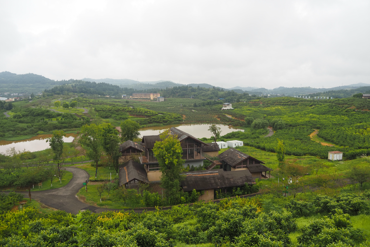 活力中国调研行｜南充文旅新花样：“丝”滑出圈“湾”住游客心！(图1)