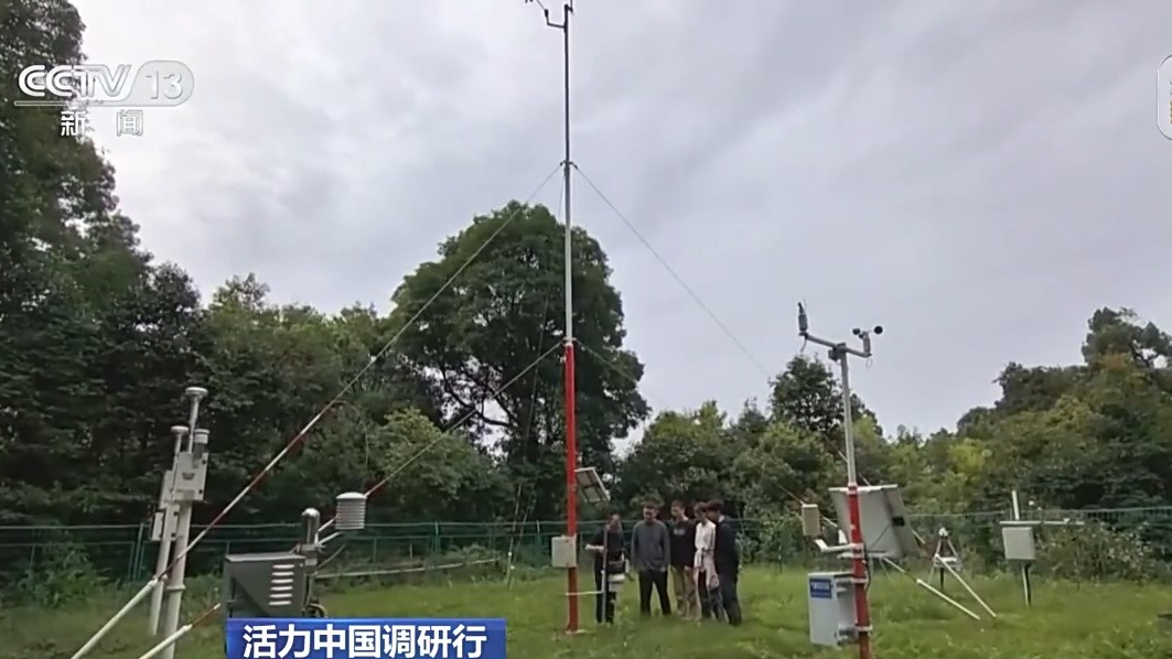 易倍EMC平台：活力中国调研行丨遗产保护用上黑科技在峨眉山解锁文旅新体验(图10)