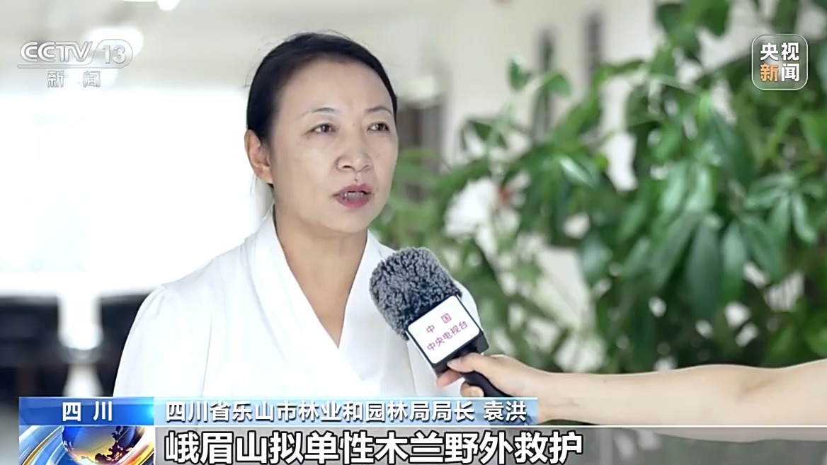 易倍EMC平台：活力中国调研行丨遗产保护用上黑科技在峨眉山解锁文旅新体验(图11)
