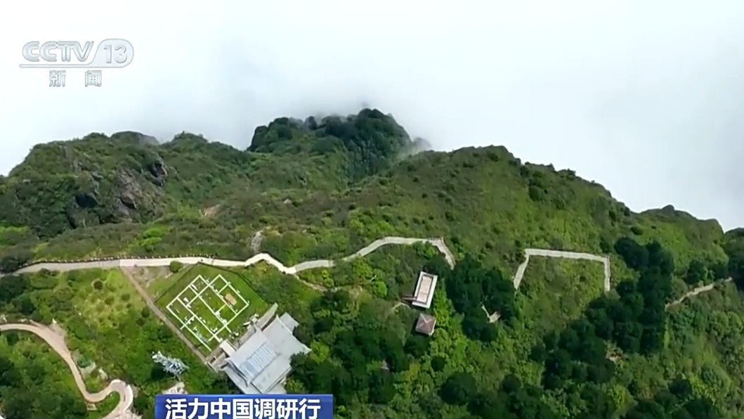 易倍EMC平台：活力中国调研行丨遗产保护用上黑科技在峨眉山解锁文旅新体验(图4)