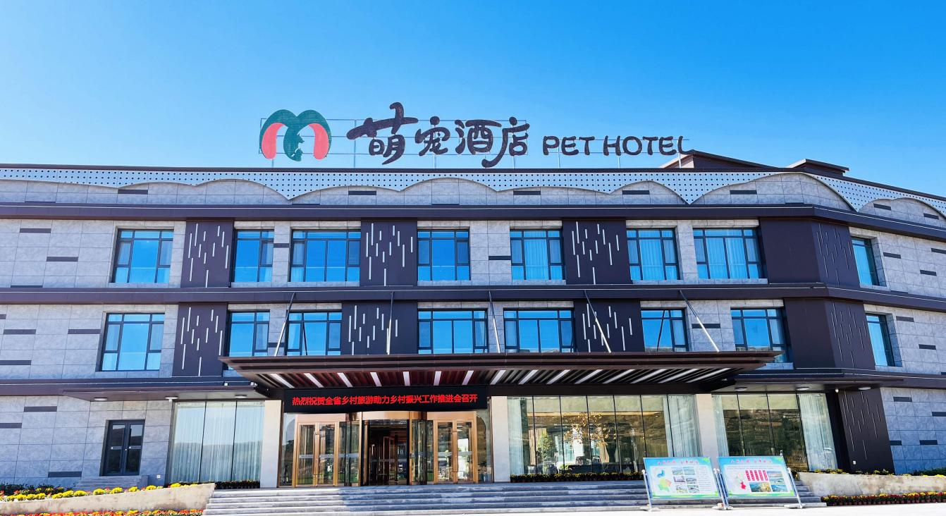 山东文旅景区年味儿迎春(图11)