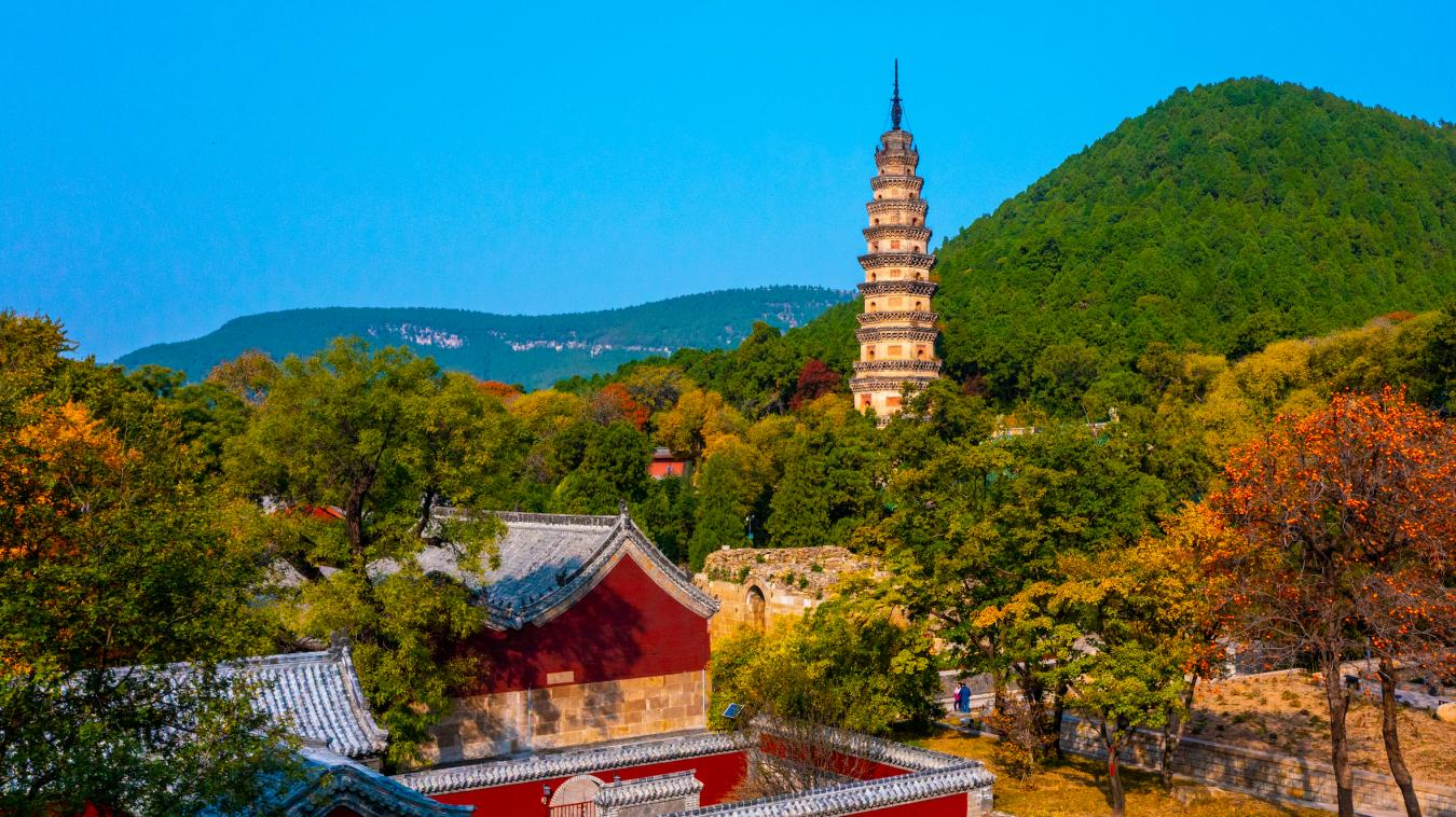 山东文旅景区年味儿迎春(图5)