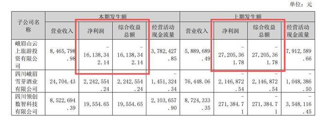 亏损、烂尾、冷清！动辄几亿的网红项目换来空城躲不过三年就凉(图4)