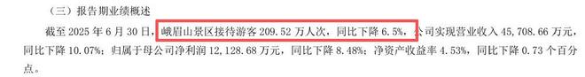亏损、烂尾、冷清！动辄几亿的网红项目换来空城躲不过三年就凉(图5)
